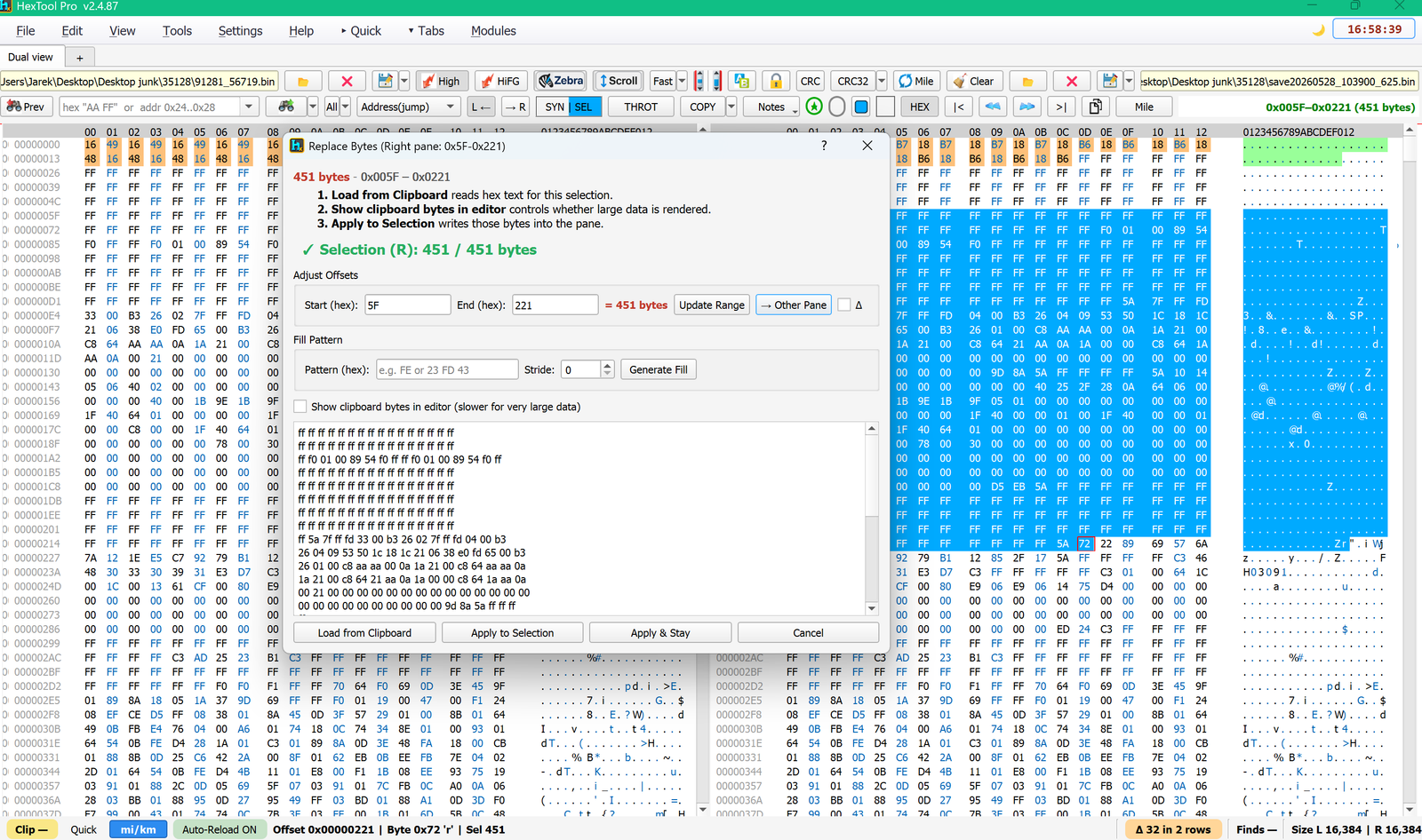 Replace Bytes dialog on a small selection